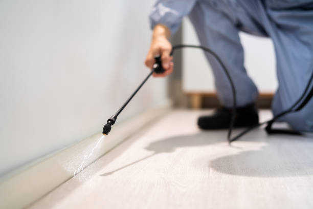 Licensed Fumigation Services service in Wasatch County County, UT - Nex Pest Control